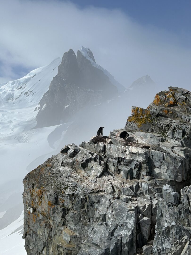 Antarctica - M. Fleer