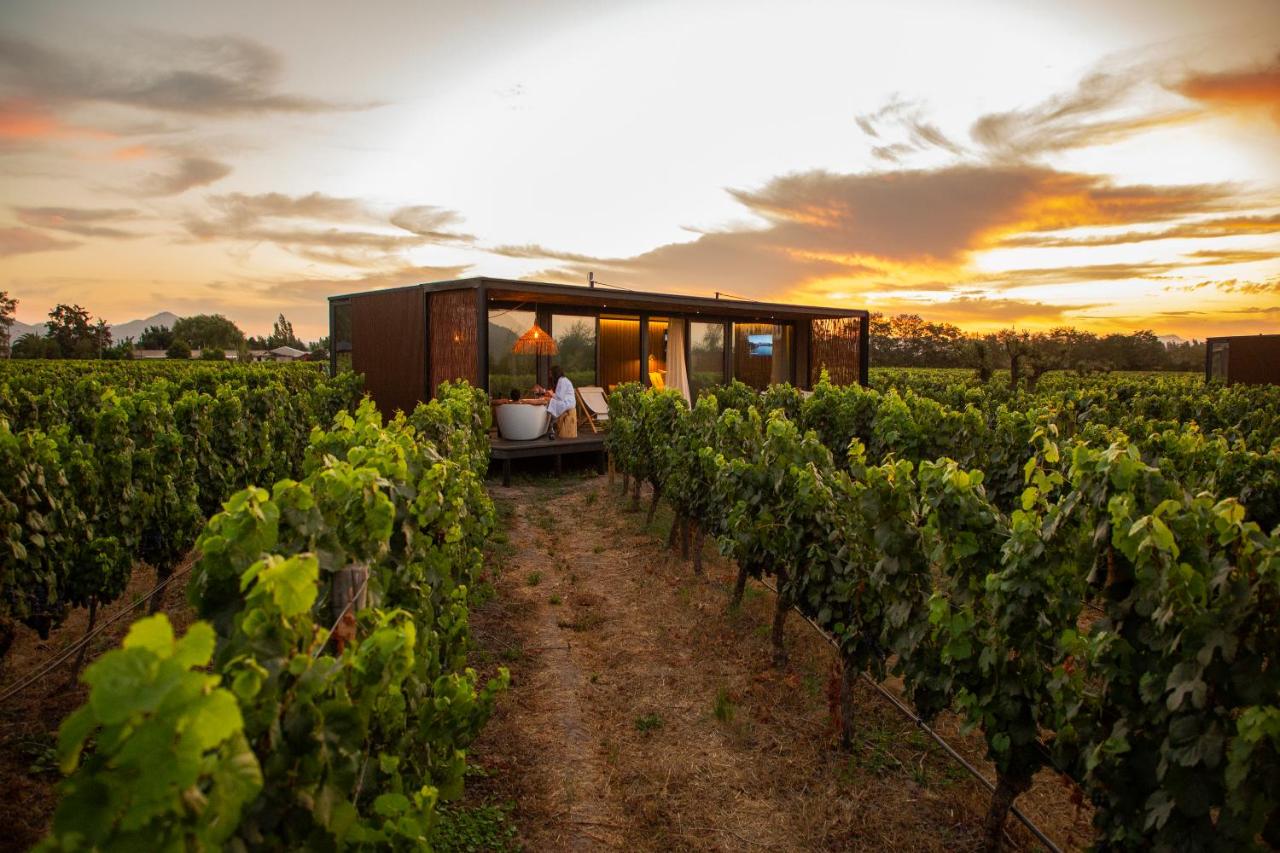 international culinary travel: Luxury Cabin in Vineyard - luxury romantic trips