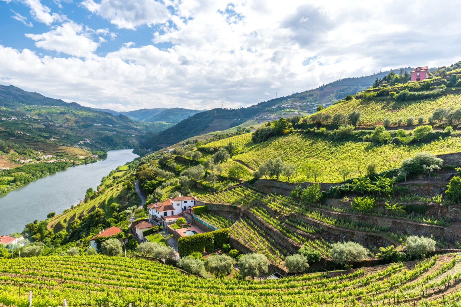 The Douro river and vineyards in Portugal