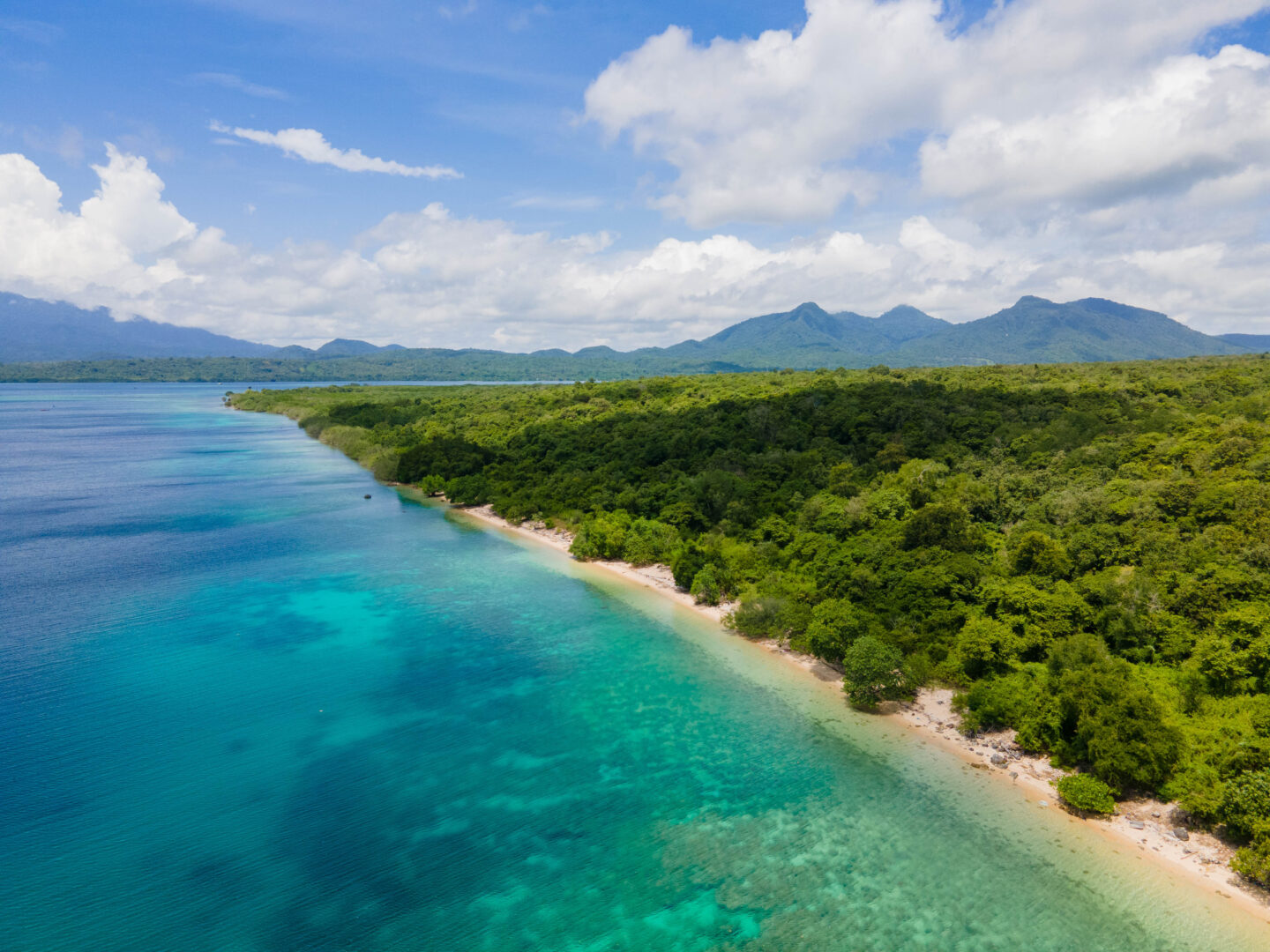 West Bali National Park in Indonesia