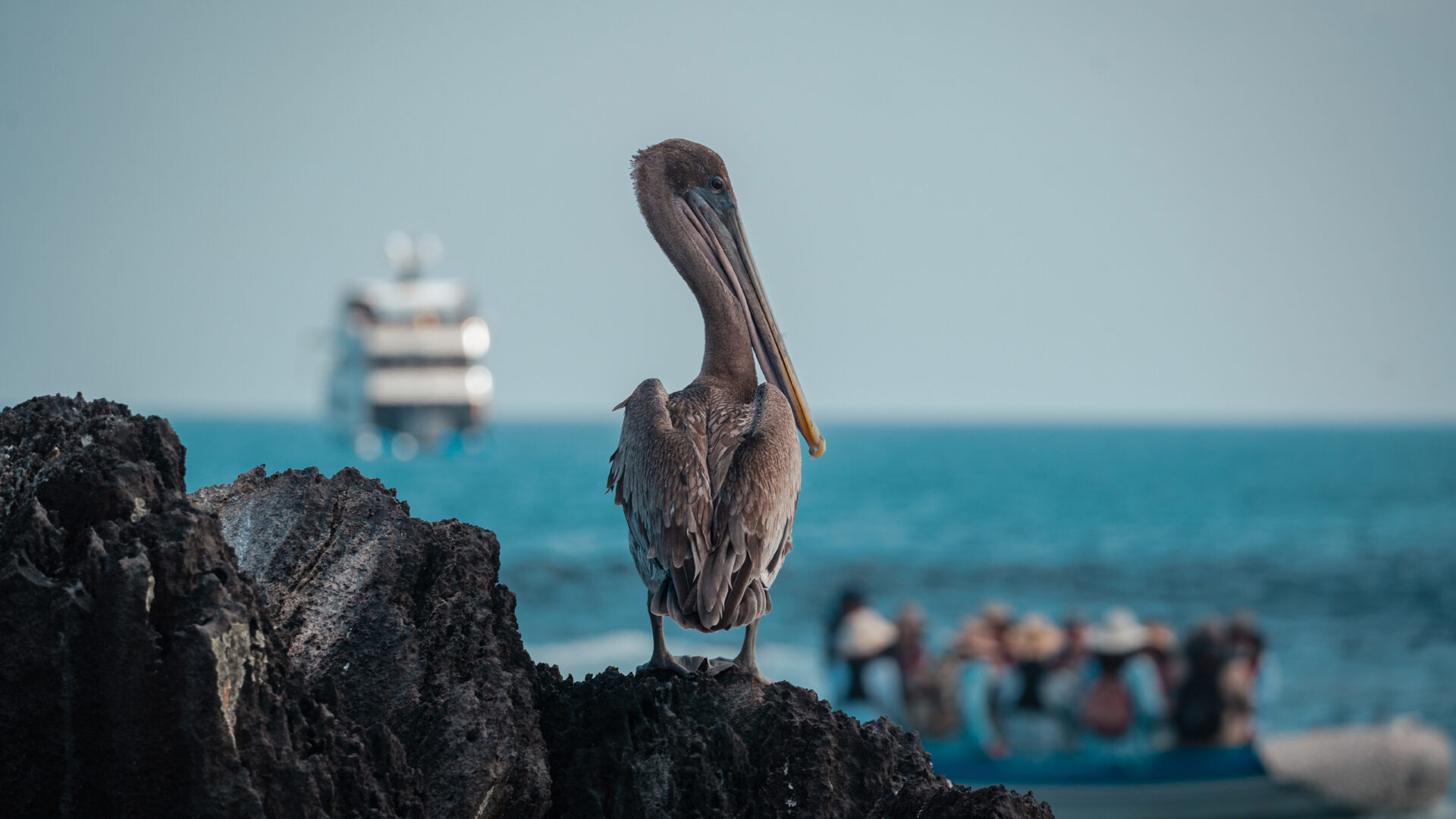 Galapagos island tour
