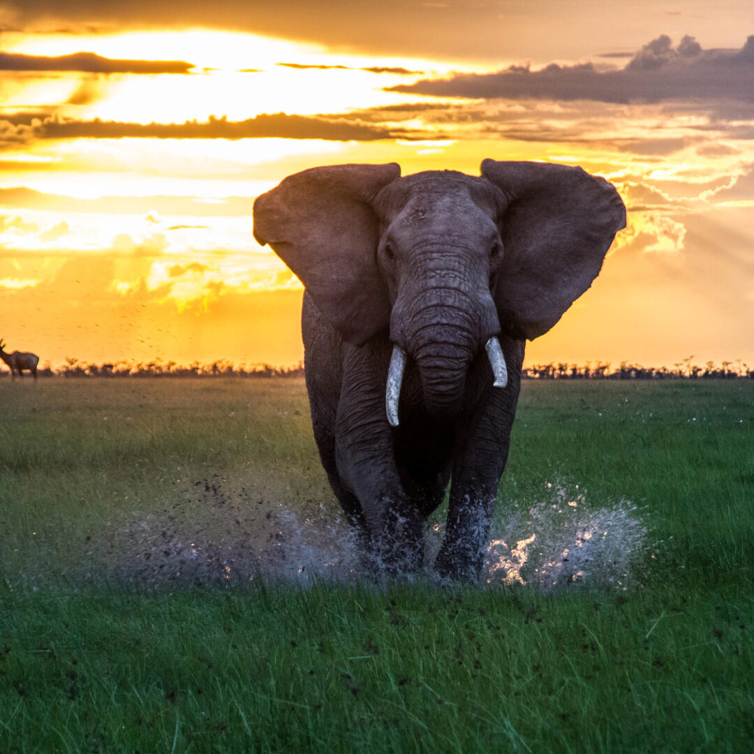 custom luxury vacations to kenya